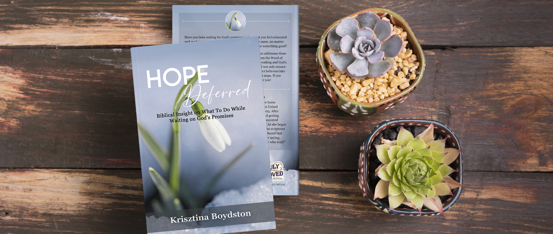 Hope Deferred book